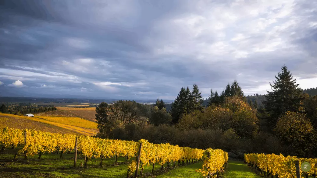 Jennifer Schurter Canby Clackamas County Relocation Real Estate News