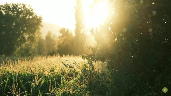 Is Summer Really the Best Time to Move in the North Willamette Valley?