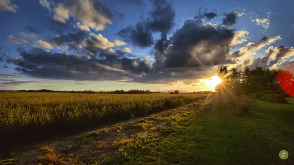 Top 10 Reasons to Move to the North Willamette Valley