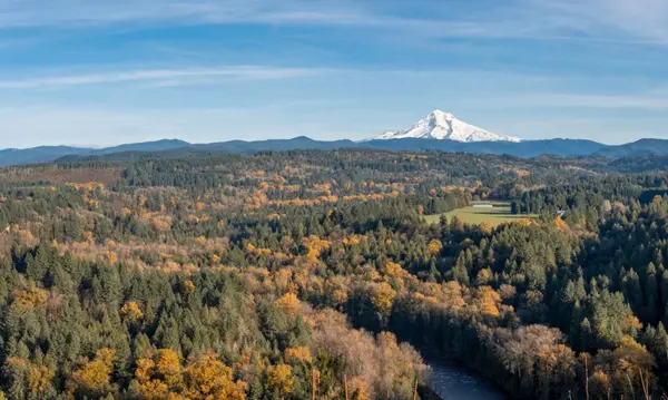 West Linn Hillside Homes: Inspection Checklist for Buyers