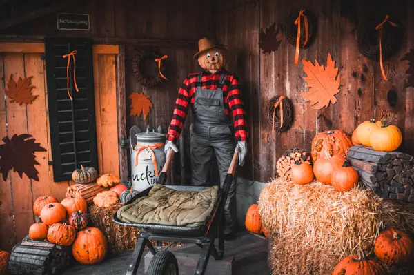 Giant Pumpkins, Corn Mazes, and Hayrides: 2 Fall Events Near Portland
