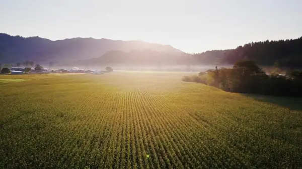 Buying a Small Farm Lot in Hubbard, Oregon: What to Check