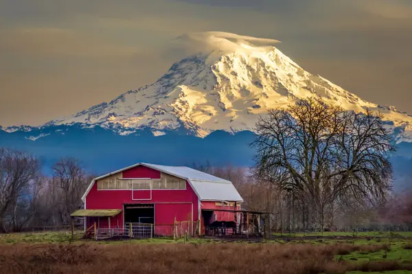 Septic & Well Inspections for Clackamas County Home Buyers 