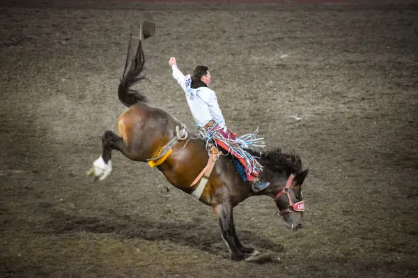 Why the St. Paul Rodeo Is One of Oregon's Most Beloved Summer Traditions