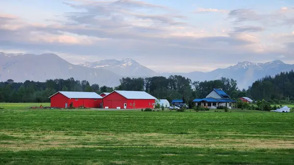 Walkable vs Rural Living Near Canby, Oregon