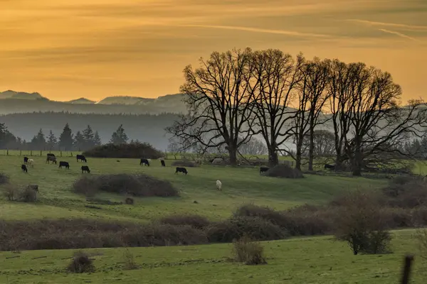 Acreage & Hobby Farms Near Canby, Oregon: A Local Guide