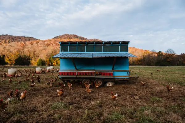 5 Things Every Hobby Farm Buyer Near Portland Gets Wrong