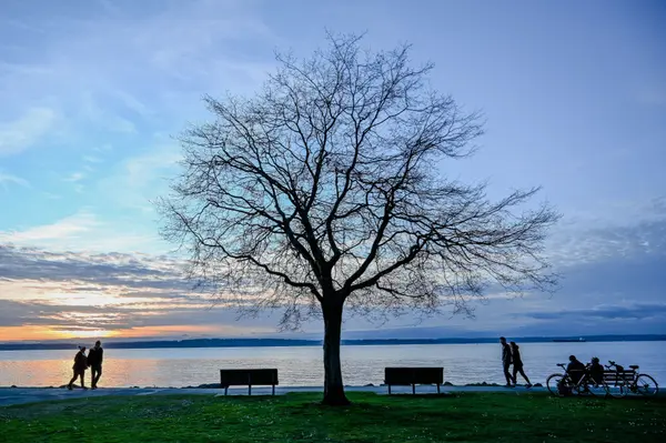 Oregon City Residents Split on Clackamette Park's RV Park Future