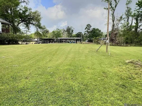 17619 Cove Ln, Denham Springs, LA 70726