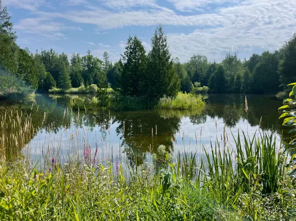 466615 12th B Concession, Grey Highlands, ON N0C 1E0