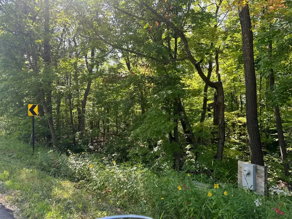 XXX County Rd 138, Garrison, MN 56450