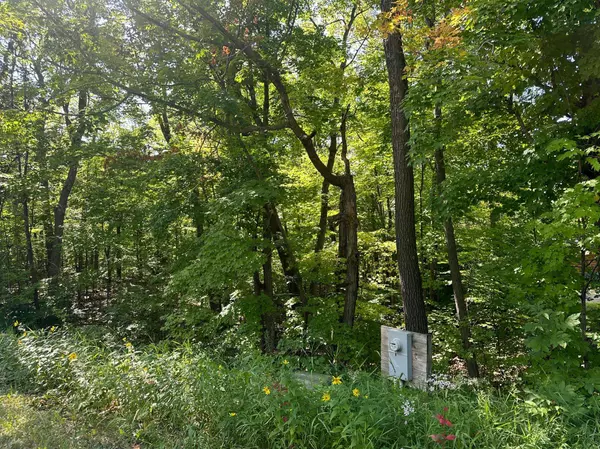 XXX County Rd 138, Garrison, MN 56450