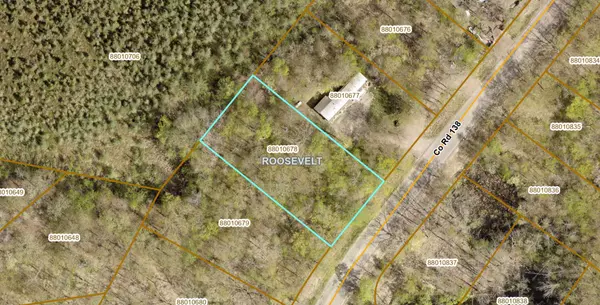 XXX County Rd 138, Garrison, MN 56450