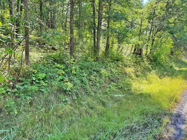 XXX State 87 SW, Backus, MN 56435