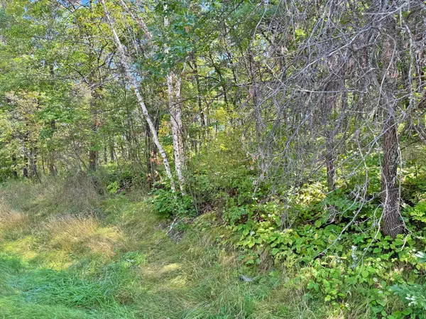 XXX State 87 SW, Backus, MN 56435