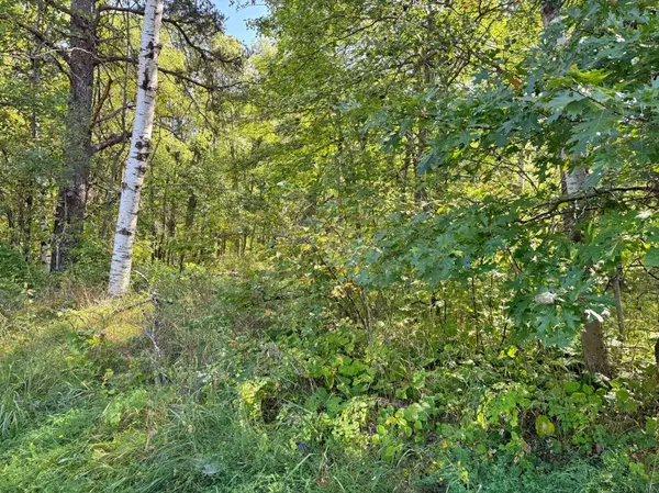 XXX State 87 SW, Backus, MN 56435