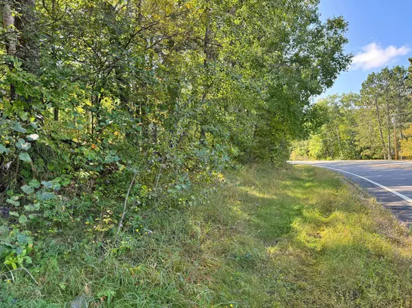 XXX State 87 SW, Backus, MN 56435