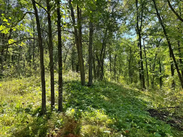 XXX State 87 SW, Backus, MN 56435