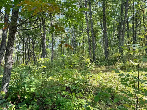 XXX State 87 SW, Backus, MN 56435