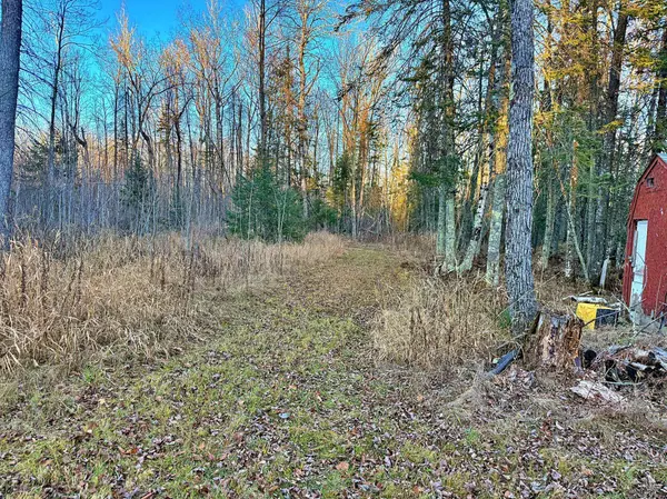 13475 150th LN, Finlayson, MN 55735