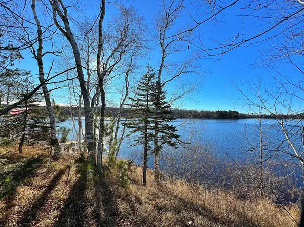 18817 Sucker Lake RD, Nashwauk, MN 55769