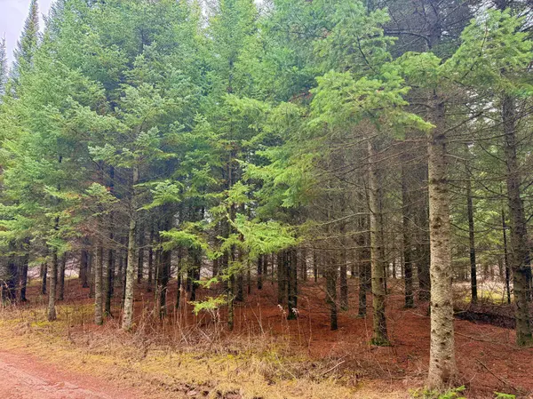 TBD 370th LN, Mcgregor, MN 55760