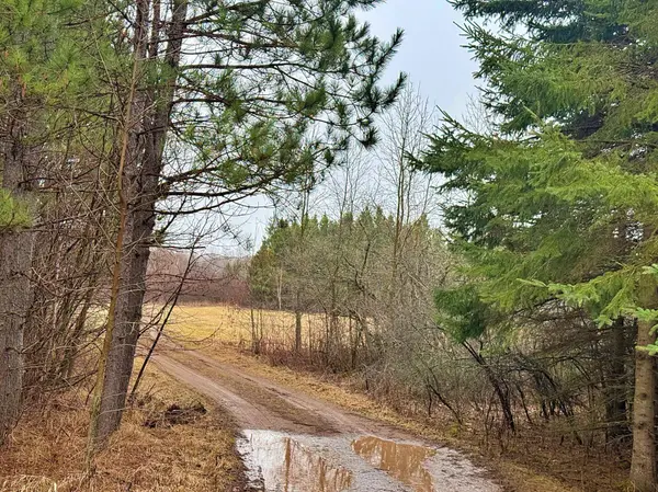 TBD 370th LN, Mcgregor, MN 55760