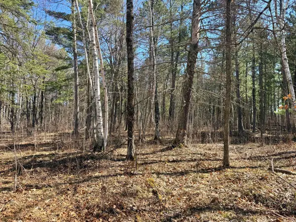 TBD Wall ST, Crosslake, MN 56442