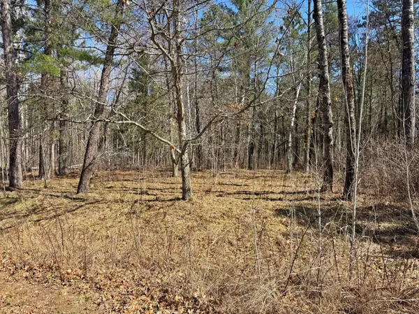 TBD Wall ST, Crosslake, MN 56442