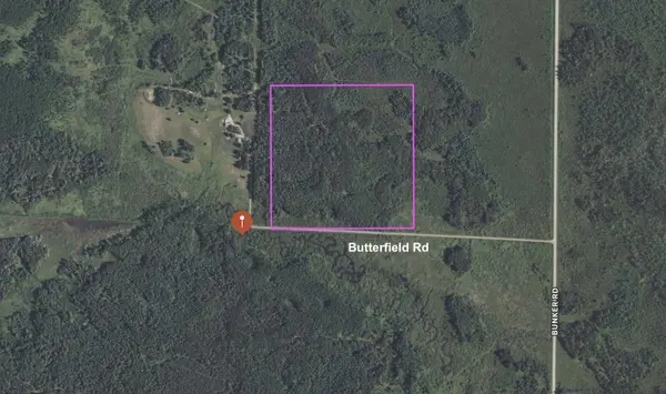 TBD Butterfield RD, Hibbing, MN 55746