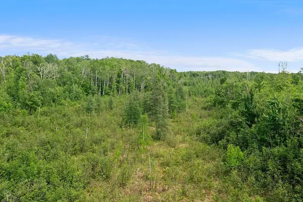 TBD 370th LN, Mcgregor, MN 55760
