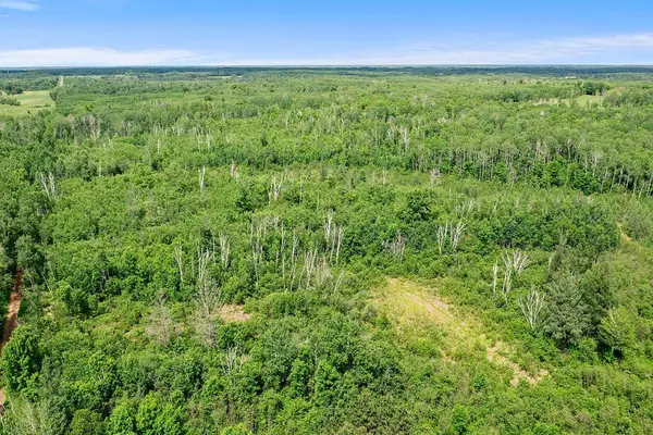 TBD 370th LN, Mcgregor, MN 55760