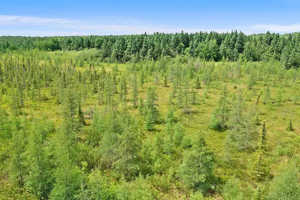 TBD 370th LN, Mcgregor, MN 55760