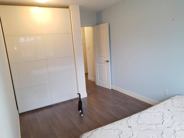 2441 Kelly AVE #31, Port Coquitlam, BC V3C 1Y3