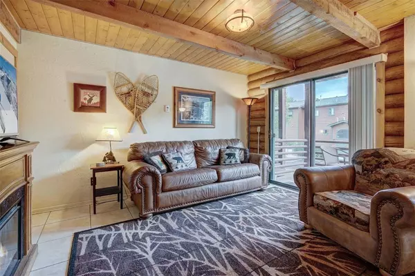 100 Cove BLVD #F, Dillon, CO 80435