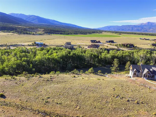 17550 Primrose LN, Buena  Vista, CO 81211