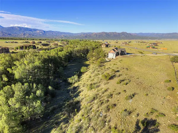 17550 Primrose LN, Buena  Vista, CO 81211
