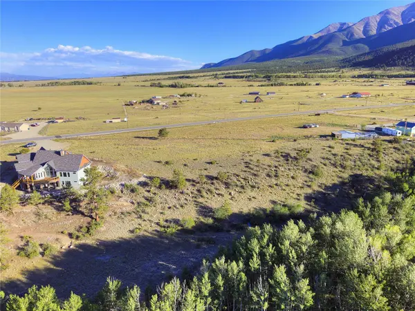 17550 Primrose LN, Buena  Vista, CO 81211