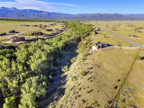 17550 Primrose LN, Buena  Vista, CO 81211