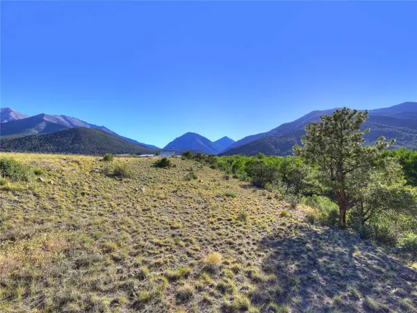 17550 Primrose LN, Buena  Vista, CO 81211