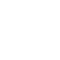 W & Partners Luxury Real Estate Firm