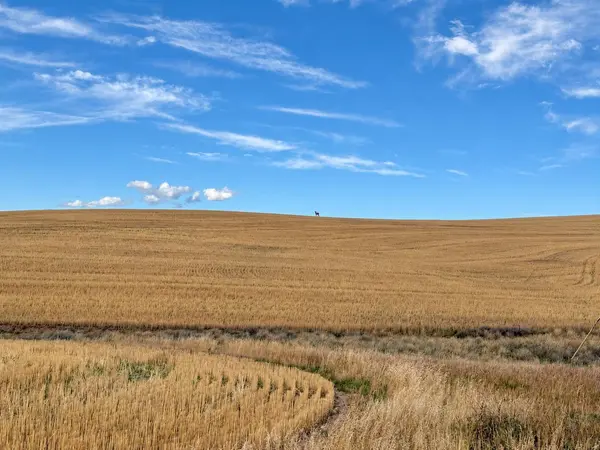 410 Courtney RUN, Craig, CO 81625
