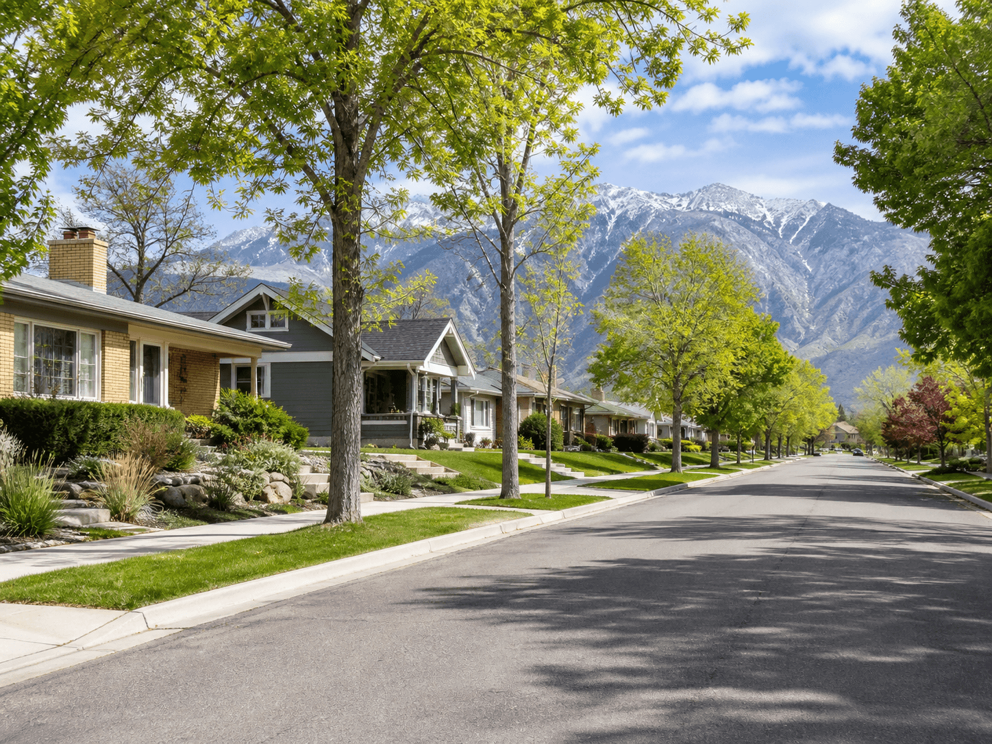 A quiet tree-lined residential street in Midvale, Utah