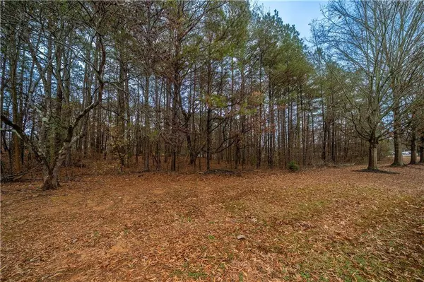 0 Fire Tower, Cartersville, GA 30120