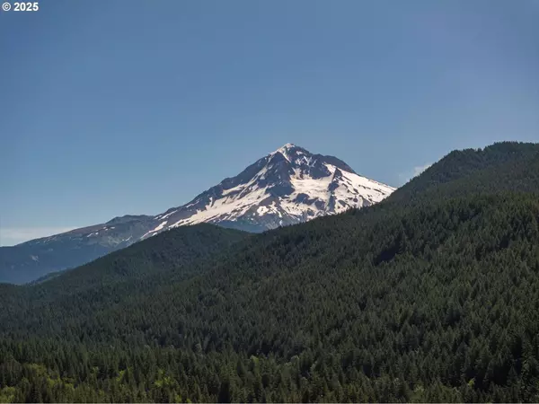 75054 E COLD SPRINGS RD, Rhododendron, OR 97049