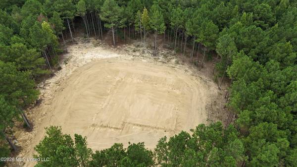 681 Lone Pine Church Road, Lena, MS 39094