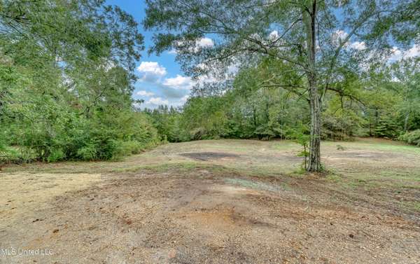 728 N Brooks Street, Pelahatchie, MS 39145