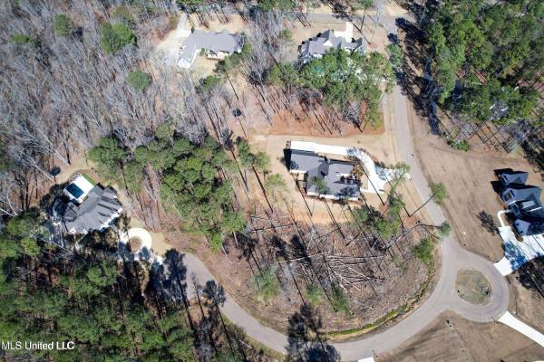 922 Brookhollow Court, Flowood, MS 39232