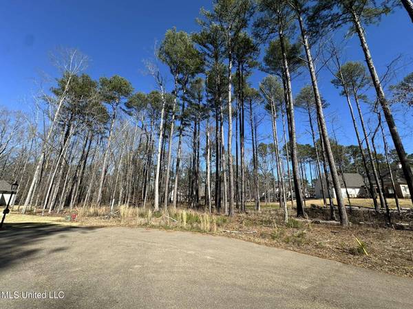 922 Brookhollow Court, Flowood, MS 39232