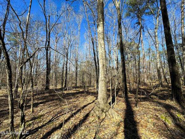 922 Brookhollow Court, Flowood, MS 39232